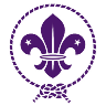 WOSM Constitution