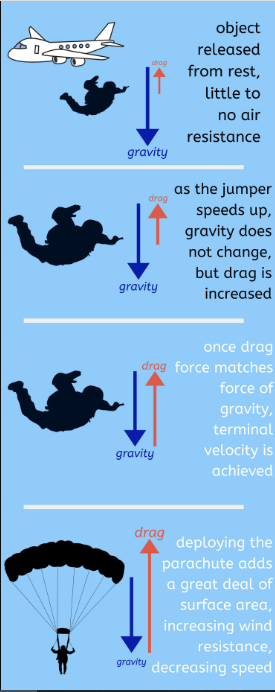 halaju terminal terjun udara!